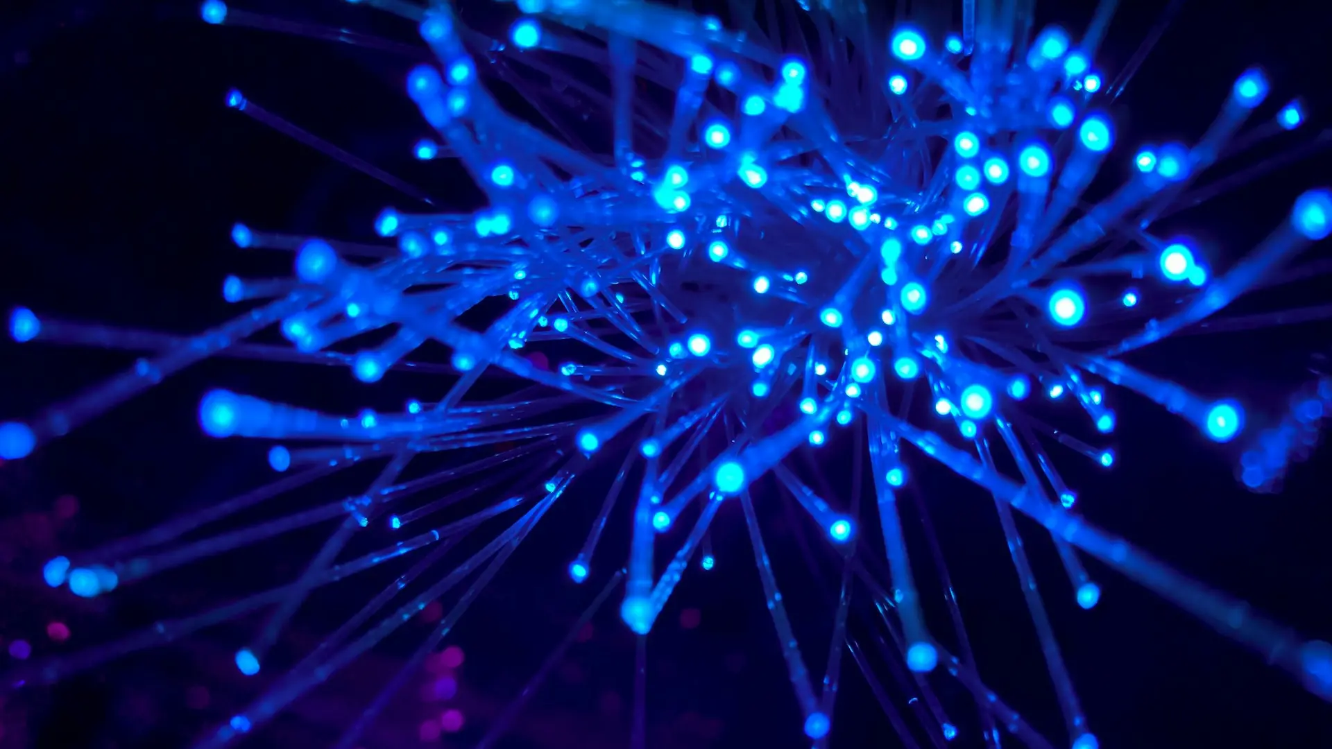 purple and blue light digital wallpaper